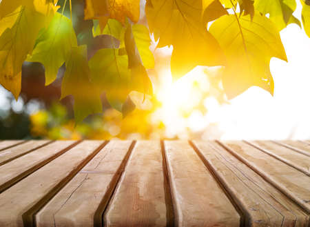Wooden desk on autumn blur natural backgroundの写真素材