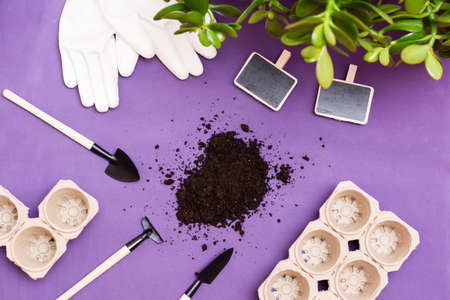 Home gardening concept. A set of garden tools for planting plants, soil, paper pots, gloves and a plank for signing plantsの写真素材