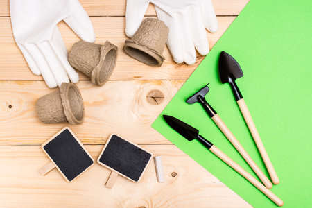 Home gardening. Miniature gardening tools: scoop, rake, inscription board, gloves and chalk on green...