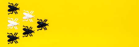 Ready web banner for halloween. White and black plastic flies on a yellow cardboard background. Copy...