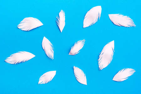 Cut out white paper fringe leaves scattered on a blue cardboard background. Top view. Copy space