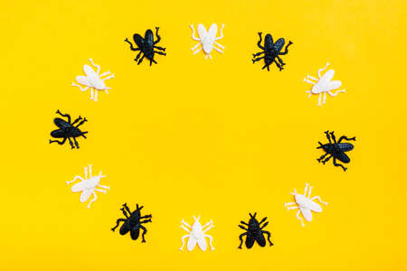 White and black plastic flies lie in a circle on a yellow cardboard background. Ready Halloween...