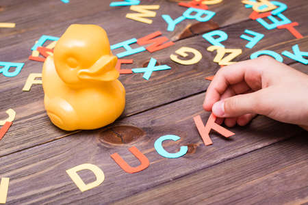 Children's hands make up the word "duck" from colored carved cardboard letters and a toy duck on a wooden backgroundの写真素材