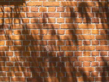 Brick wallの写真素材