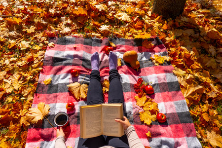 autumn in the park. Sunny weather. The girl sits on a blanket and reads a book. On the plaid there...