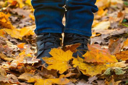 autumn forest. Sunny day. Yellow leaves fell from the trees. Feet in shoes on foliage (close-up). Autumn walks in the forest. connection with natureの写真素材