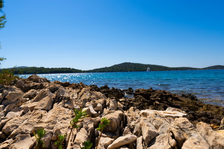 Croatia. Summer. Sunny day. Rocky shore of the Adriatic Sea. tourist season. popular holiday...