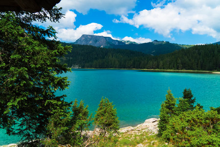 Montenegro. Zabljak. Durmitor National Park. popular tourist spot. Black lake surrounded by green coniferous forest. Beauty of nature concept backgroundの写真素材