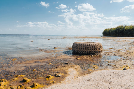 Panorama of a dried-up lake on a sunny summer day.の写真素材