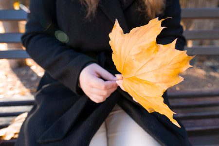 A person in a black gently coat holding a large, beautiful golden autumn leaf while sitting on a...