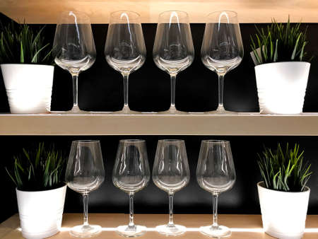 Kitchen interior: flower pot, a vase of flowers and glasses on the shelf. Cozy home interior.の写真素材