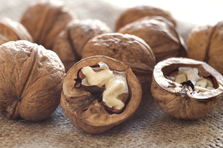 Opened walnut in the foreground. Near several walnuts. Burlap on a table of black wood. Horizontal...