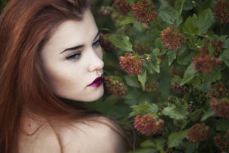portrait of a beautiful red-haired girlの写真素材