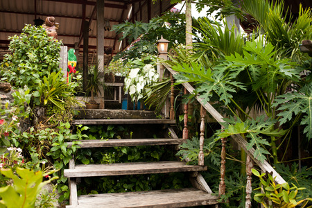 wooden stairs in tropical houseの写真素材