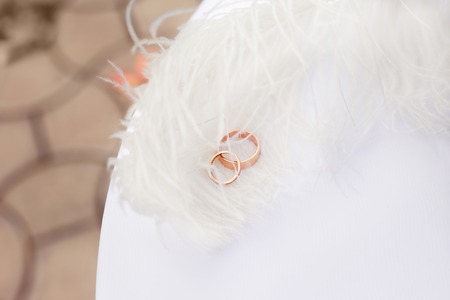 Gold wedding rings nestling in white feathers. Wedding ceremony colorful photoの写真素材