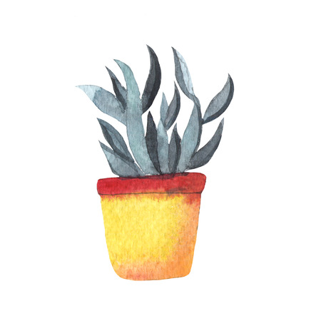 Watercolor hand painted green cactus in colorful potの写真素材