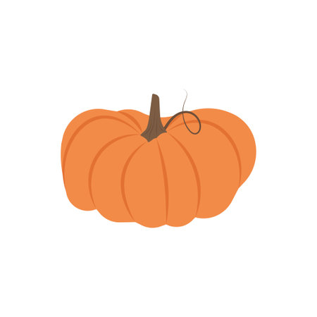 Large pumpkin for fall harvest. Vector illustration for thanksgiving and festive autumn contentのイラスト素材