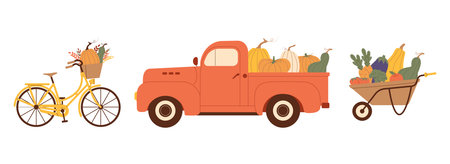 Fall harvest collection with pickup, pumpkins, bike, and wheelbarrow of vegetables. Vector illustration for autumn decor, Thanksgiving design, seasonal clipartのイラスト素材