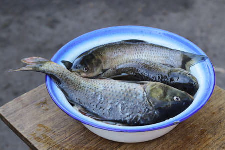 Peeled fish in a metal bowl. Copy space - concept of fishing, catch, summer vacation, nature.
