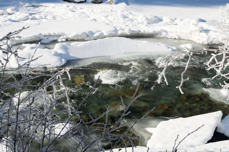 winter branches of trees in hoarfrost glint in the sun. The fine winter mountains landscape. Sunny day.の写真素材
