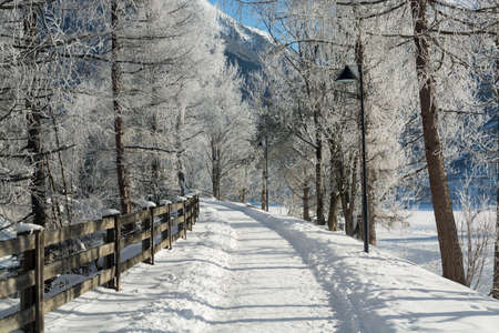 the fine winter mountains landscape. Sunny day. Winter decline. The bright colors. Winter forest.  forest road.  Branches in hoarfrost.の写真素材