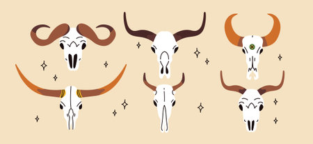 Set of animal skulls in hand draw style. Front views of engraving scary skeletons of cow, buffalo, deer. Vector illustration isolated on white background. wild west atmosphereのイラスト素材