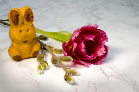 Easter bunnieの写真素材