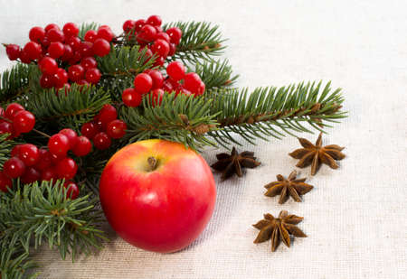 red apples, gold stars and spruce branchesの写真素材