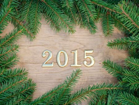 Text 2015 located on  oak backgroundの写真素材
