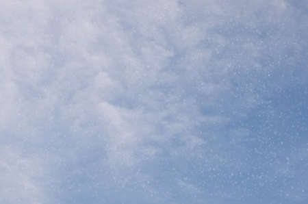 Falling snowflakes on  blue backgroundの写真素材