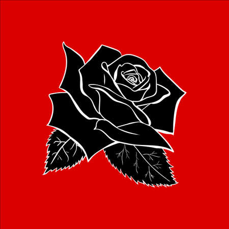 Rose sketchのイラスト素材