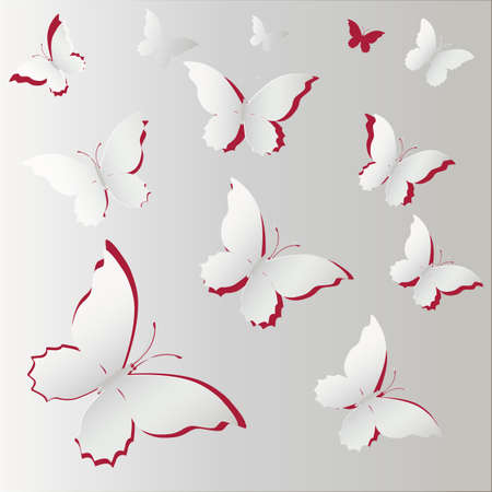 White Lace butterfly on gray background.  Vector illustration.のイラスト素材