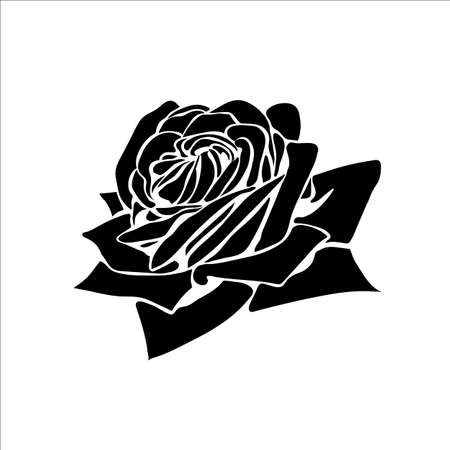 silhouette of rose isolated on white backgroundのイラスト素材