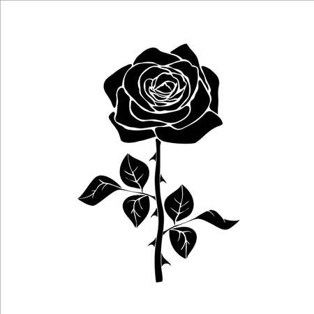 silhouette of rose isolated on white background. のイラスト素材