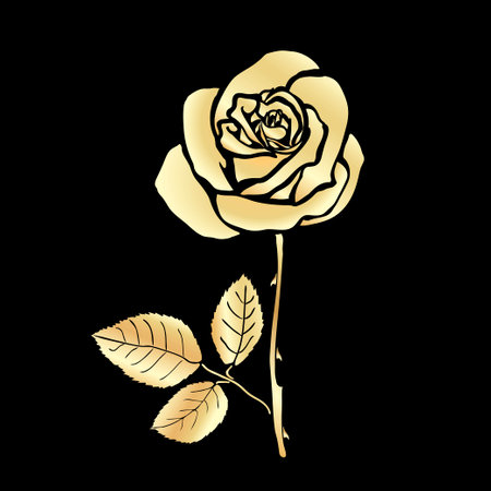 Rose sketch. Golden outline on black background. Vector illustration.のイラスト素材