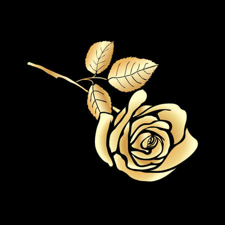 Rose sketch. Golden outline on black background. Vector illustration.のイラスト素材
