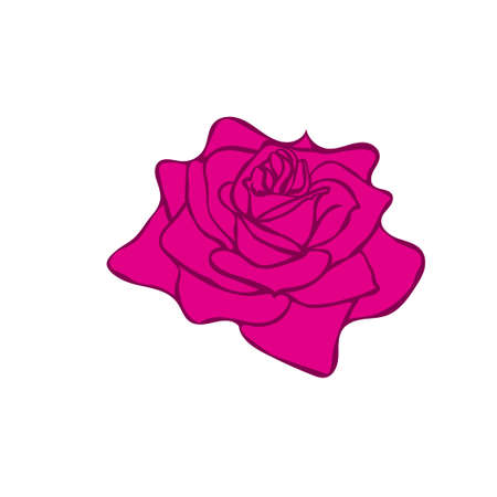 Rose sketch. Red outline on white background. Vector illustration.のイラスト素材