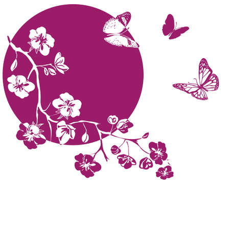 pink cherry blossoms branch and butterflies are on white background. Vector illustrationのイラスト素材
