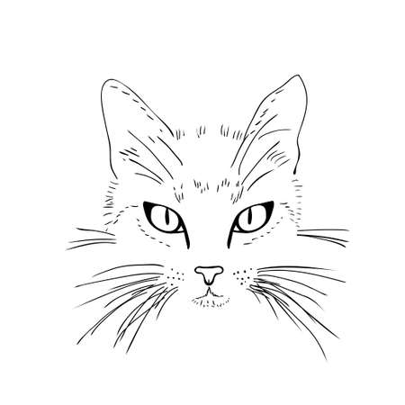 Cat  face. Black and white sketch. Vector illustrationのイラスト素材