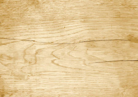 oak board. Vector illustrationのイラスト素材