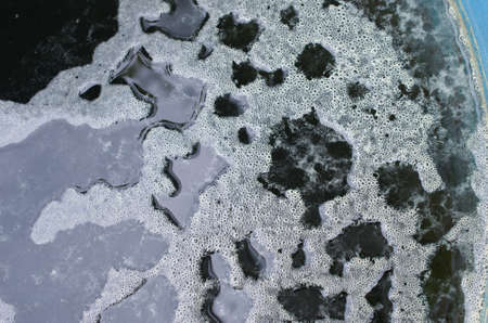 Scum bubblesの写真素材