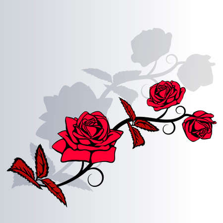 Rose sketch. Red rose and shadows on gray background. Vector illustration.のイラスト素材
