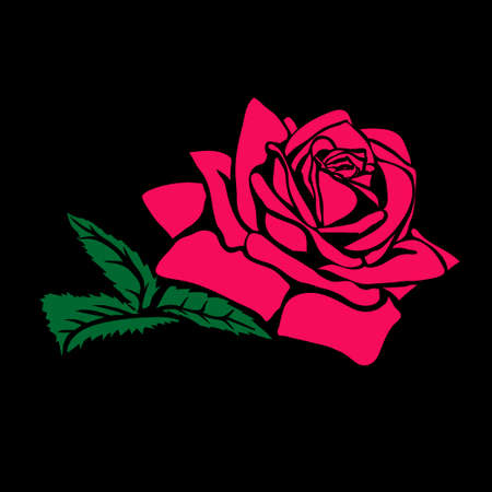Rose sketch. Red outline on black background. Vector illustration.のイラスト素材