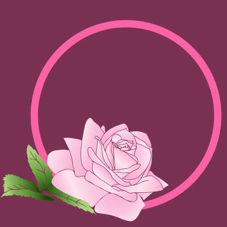 red rose isolated on white background. Vector illustrationのイラスト素材