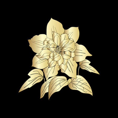 Terry flower clematis sketch. Gold outline on black background. Vector illustration.のイラスト素材