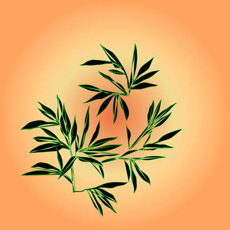 Bamboo branches are on sunlight background. Vector illustrationのイラスト素材