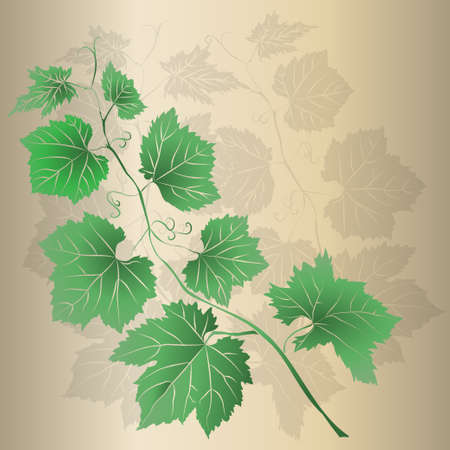 Grape Leaves baroque plants. Green leaves on vintage background.  Vector illustration.のイラスト素材