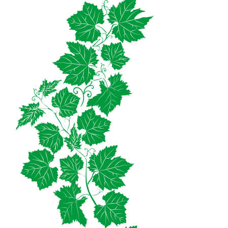 Green Leaf seamless pattern. Floral seamless texture with grape. Vector illustrationのイラスト素材