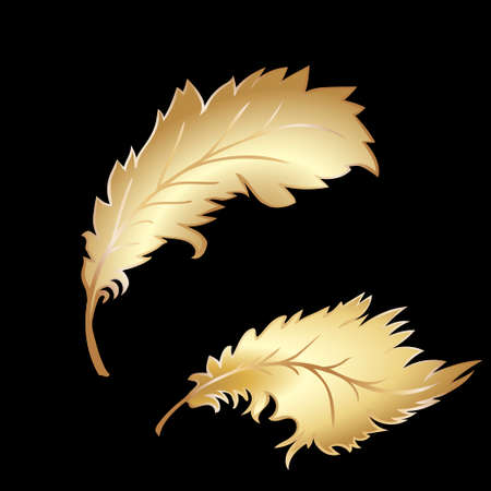 Golden decorative Feather on a black background. Vector illustrationのイラスト素材