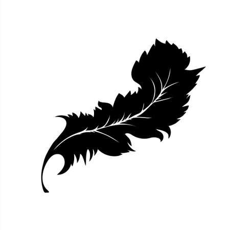 Decorative Feather. Black silhouette are on a white background. Vector illustrationのイラスト素材